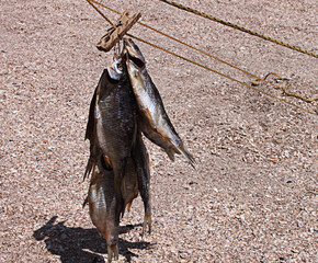 delicious dried fish of the sea