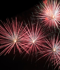 Fototapeta premium Big bright fireworks in the night sky