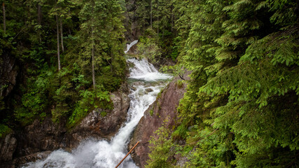 mountain waterfall european mountains tatras beautiful waterfall in the mountains green forest pine