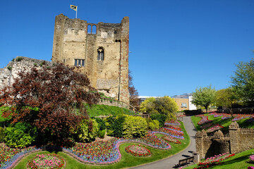 Fototapeta na wymiar Colourful spring tulips around Guildford Castle, Surrey, on a sunny day