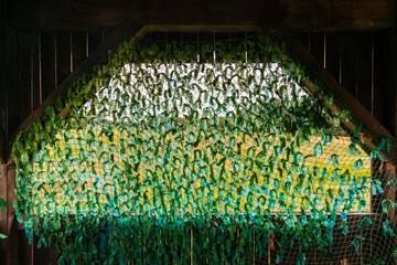 Camouflage net in hide tower shelter for birding and wildlife watching. Green background pattern....