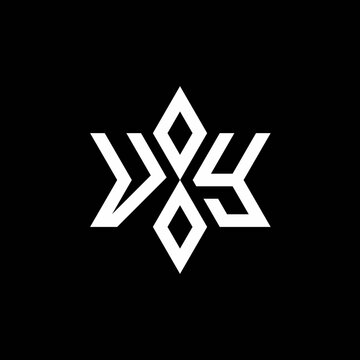VY monogram logo with star shape and luxury style