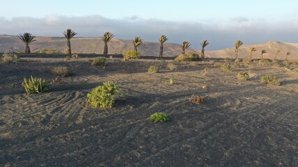 town and sacred place for the ancient inhabitants of the planet
