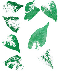 Isolated green watercolor leaves on white background