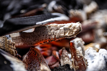 Grill Kohle Glut in Flammen Nahaufnahme beim Grillen