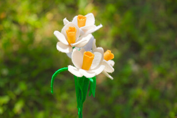 Naklejka na ściany i meble The handmade felt daffodil (Narcissus) the plant is on a green grass background springtime. The concept of hypoallergenic toys, avoiding allergic reactions in the spring.