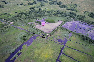 aerial view of rice fields