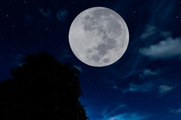 Naklejka na ściany i meble Full moon with silhouette tree in the night.