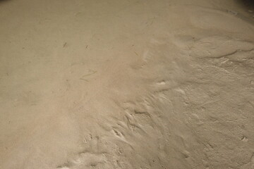 Beautiful beach at sunset in Galicia,Spain