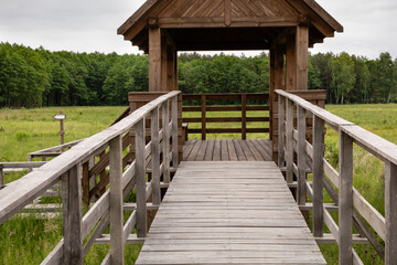 Fototapeta premium Ramp slip-way entrance to wooden gate of tower for tourist. Marshland bog in Poleski National Park. Observing tower in grassland. Nature trail Czahary.
