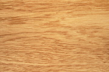 Wooden background. Natural backdrop. The surface of the wood texture