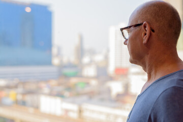 Senior handsome Scandinavian man inside the room by the window