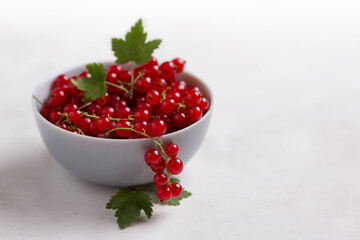 Red currants in a bowl on a light table with space for text 