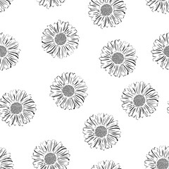 Seamless pattern with chamomiles. Vector illustration on a white background.