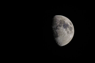 Mond