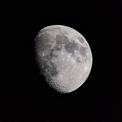 Mond