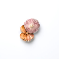 Fresh clean garlic head and cloves isolated on white backgound.