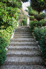 Stone stairs landscaping in home garden. Stairs rise up through between foliages. 