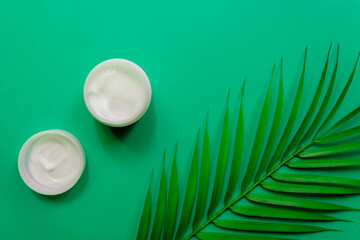 White jar of face cream on a background of tropical palm green leaf. green background, top view, flat lay. Concept of natural cosmetics.