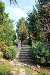 Stone stairs in home garden. Stairs with green pine trees and blue sky.