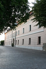 Fototapeta na wymiar Schloss in Niepolomice.