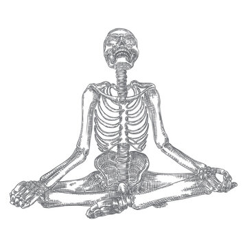 Human skeleton in yoga meditation or Lotus position with skull thrown back. Halloween element. Vector
