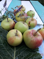 Apples and mint on a white and green wooden table. Dietary food.