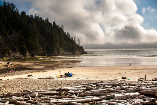 The beach at Oswald West State Park.  It is part of the Oregon state park system and is located about 10 miles south of the city of Cannon Beach, on the Pacific Ocean