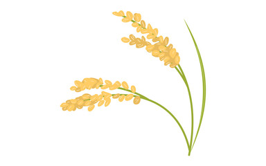 実った稲、秋の収穫