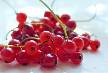 Red currant fresh fruit on white background close