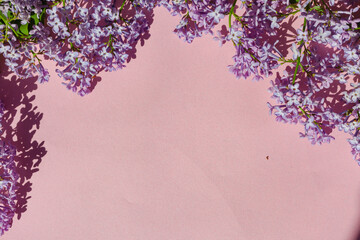 Purple and pink lilac flowers. Bouquet of lilac on pink background. With space for your text - Image
