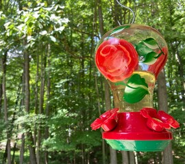 Backyard Hanging Hummingbird Feeder with Painted Red Roses