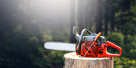 Red Chainsaw in the forest on a cut tree stump.
