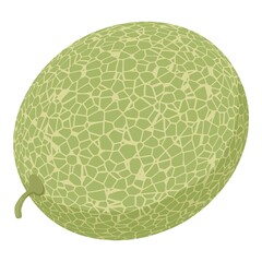 Whole garden melon icon. Isometric of whole garden melon vector icon for web design isolated on white background