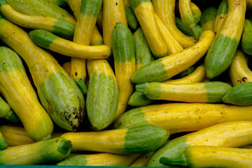 Farm sharing Community Supported Agriculture Fresh Produce Lifestyle