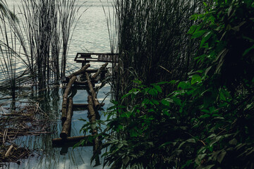 Lake Shore. Reed. Thickets of trees. Fishing pier.