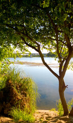 View of a calm river from the shore on a sunny day in spring