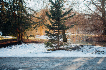 Nested pavers of various colors, around the grass is green, chic garden