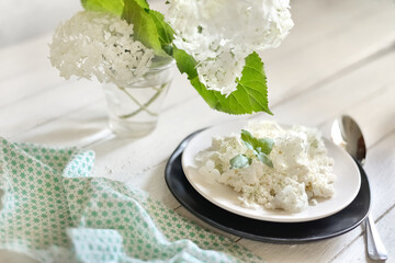 white fresh rustic cottage cheese decorated with a flower sprig in a white plate on a white background.  protein healthy diet eco product