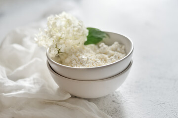 white fresh rustic cottage cheese decorated with a flower sprig in a white plate on a white background.  protein healthy diet eco product