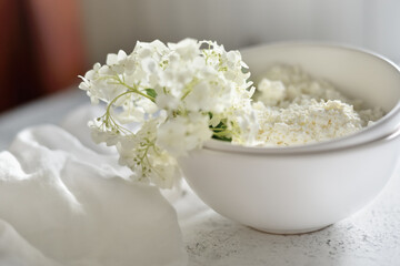 white fresh rustic cottage cheese decorated with a flower sprig in a white plate on a white background.  protein healthy diet eco product