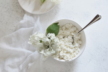 white fresh rustic cottage cheese decorated with a flower sprig in a white plate on a white background.  protein healthy diet eco product