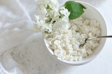 white fresh rustic cottage cheese decorated with a flower sprig in a white plate on a white background.  protein healthy diet eco product