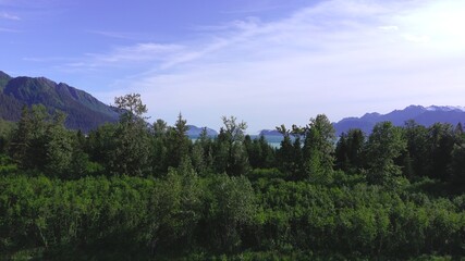 Summer glaciers in Alaska 