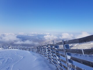 fence in snow, sheregesh