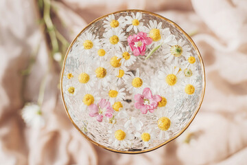 Wildflowers in water in stylish wine glass on background of soft beige fabric. Tender floral aesthetic. Creative summer image with space for text. Top view. Bohemian mood