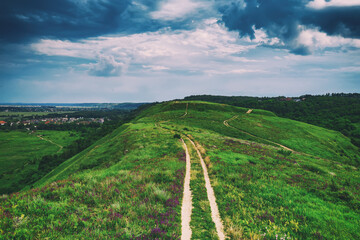 Rural summer landscape