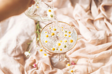 Hand pouring water with daisy flowers in modern wineglass on background of soft beige fabric with...