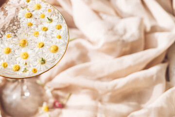 Obraz na płótnie Canvas Daisy flowers in water in stylish wine glass on background of soft beige fabric. Tender floral aesthetic. Creative summer image with space for text. Bohemian mood