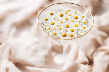 Tender floral aesthetic. Creative summer image with space for text. Bohemian mood. Daisy flowers in water in stylish wine glass on background of soft beige fabric.